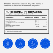 NAD+ Vitaliser Bundle